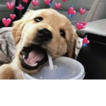 Squeaky Clean
