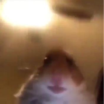 Violence is never the answer