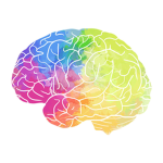 The big brains