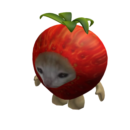 Strawberry El Gato Cat Suit