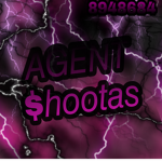 Agent $hootas