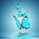 Creator Clothings