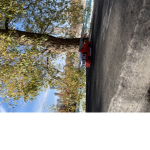 Jailbreak Grinding Group (Sundays only)