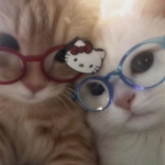 Cats are rlly cool :3