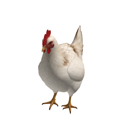 White Chiken Suit