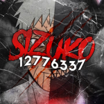 彡Sizuko
