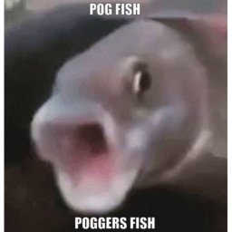 pogfish shrine (MOVED DESC)