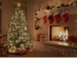 Christmas joy•
