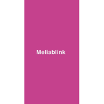 team Meliou7