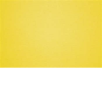 Fellow Yellow Group
