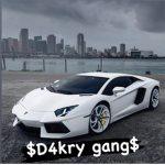 D4kry Gang