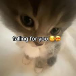 ~Anvqau~