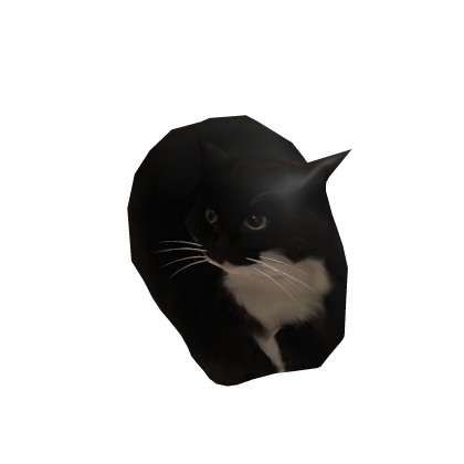 Mini Maxwell Cat Suit