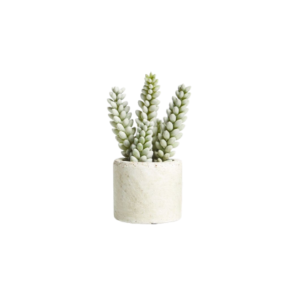 Square Decal