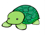 Team Turtles!