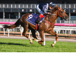 HORSE RACING 21