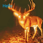 Dear Gods