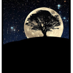 Solarmoon