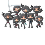 #ninja team
