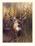 deer hunter