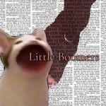 -Little boomers-