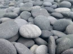 Pebble Devs Studio