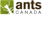 AntsCanada Fan Group