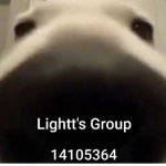 Lightt's group