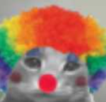 Ca. Clown Texas Community