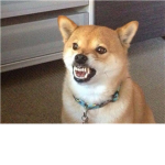 Ina64 Dislikers