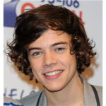 harry styles lovers