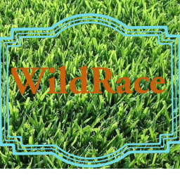 WildRace
