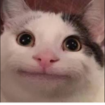 NOOB_ HUB