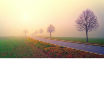 Alone Time