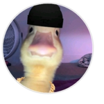 Hii it's Tajbear219900