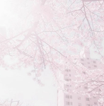 你會愛的衣服