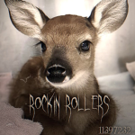 rockin rollers