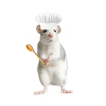 CHEF FAN CLUB <3
