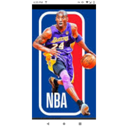 Nba arena