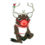 Rudolph Bingus