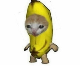 Banana city