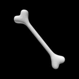 BONE OBBY [IN DEVELOPMENT]