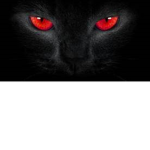 Hell Cats Division