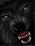 the evil wolf clan
