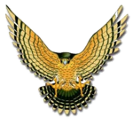 F.E.A.R Falcons