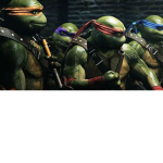 Zou turtles