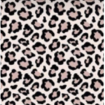 Taylorbees