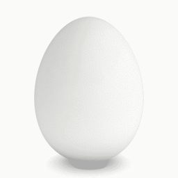 Egg