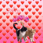 Hearts for cats meow meow