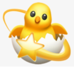 Ducky Boutique